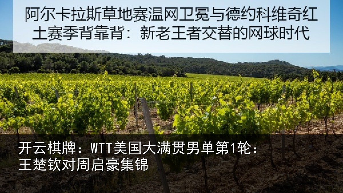 开云棋牌:WTT美国相关情况楚钦对周启豪集锦